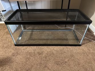 Glass terrarium