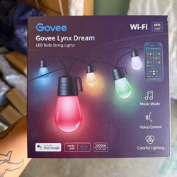 Govee Lynx Dream Led String Lights