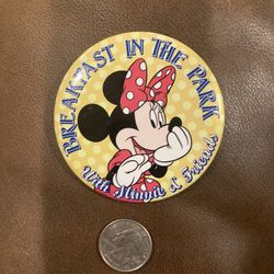 Disney Pin