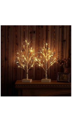 Tabletop Birch Tree with Timer 24LED 18IN Battery Operated for Christmas Father's Day Party Decoration 2 Set