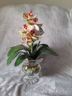 Silk orchid