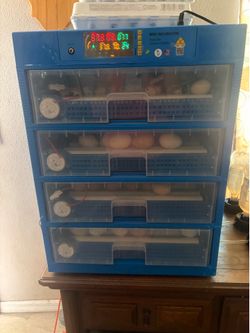 Incubator