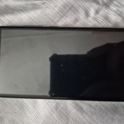 Government Phone