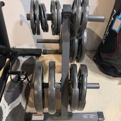 Adjustable Weight Bench With Squat Rack 