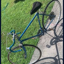 Ross European Bike (racing Bike)