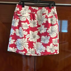 Ann Taylor Skirt 