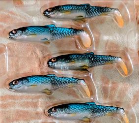 Savage gear craft cannibal shad