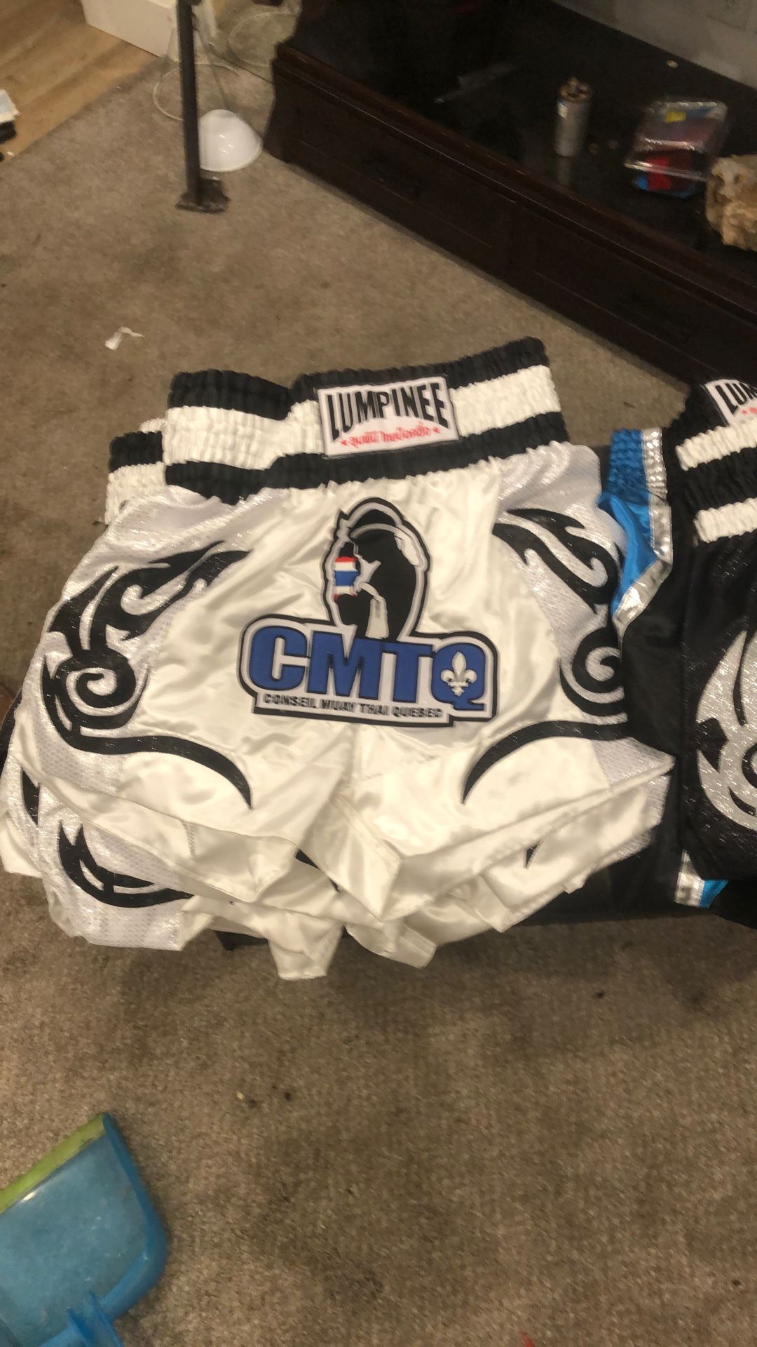 Brand New Lumpinee Muy Thai Shorts 