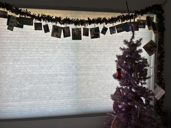 Levolor Cellular Blinds