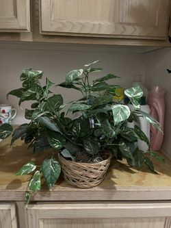 Artificial Plant