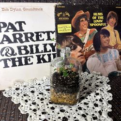 Terrarium In Vintage Bottle! 🌿✨