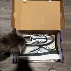 Nike Nyjah Free 2 SB