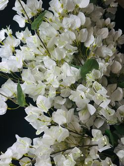 5pc NEW Michaels Ashland Oversized Faux White Bougainvillea Stems NWT