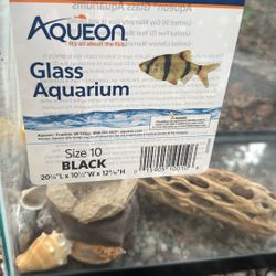 Glass Aquarium 