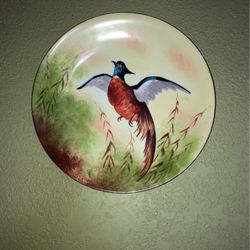 Thomas Hand Painted Wall Decoration Plater