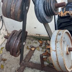 Heavy Iron Weight Plates w/ Steel Rack – Old School Garage Gym