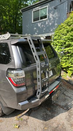 Ladder for hatch door