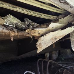 Vapor Barrier And Insulation Underneath Mobile Home 