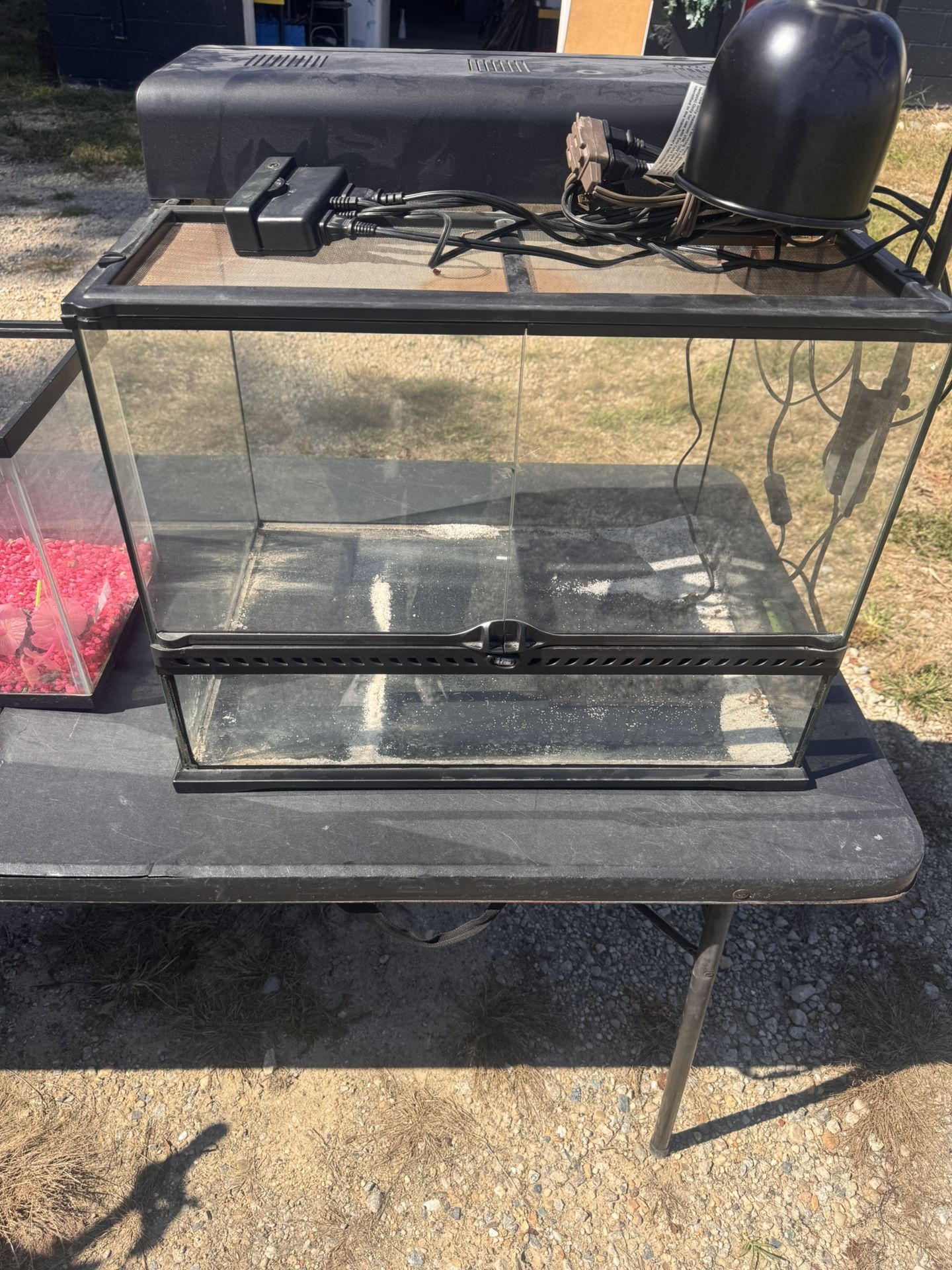 Reptile π¦ π Tank