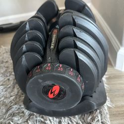 Bowflex Set Of Dumbells With Bench 