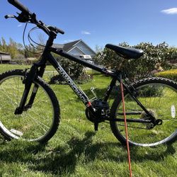 Diamond Back Bike