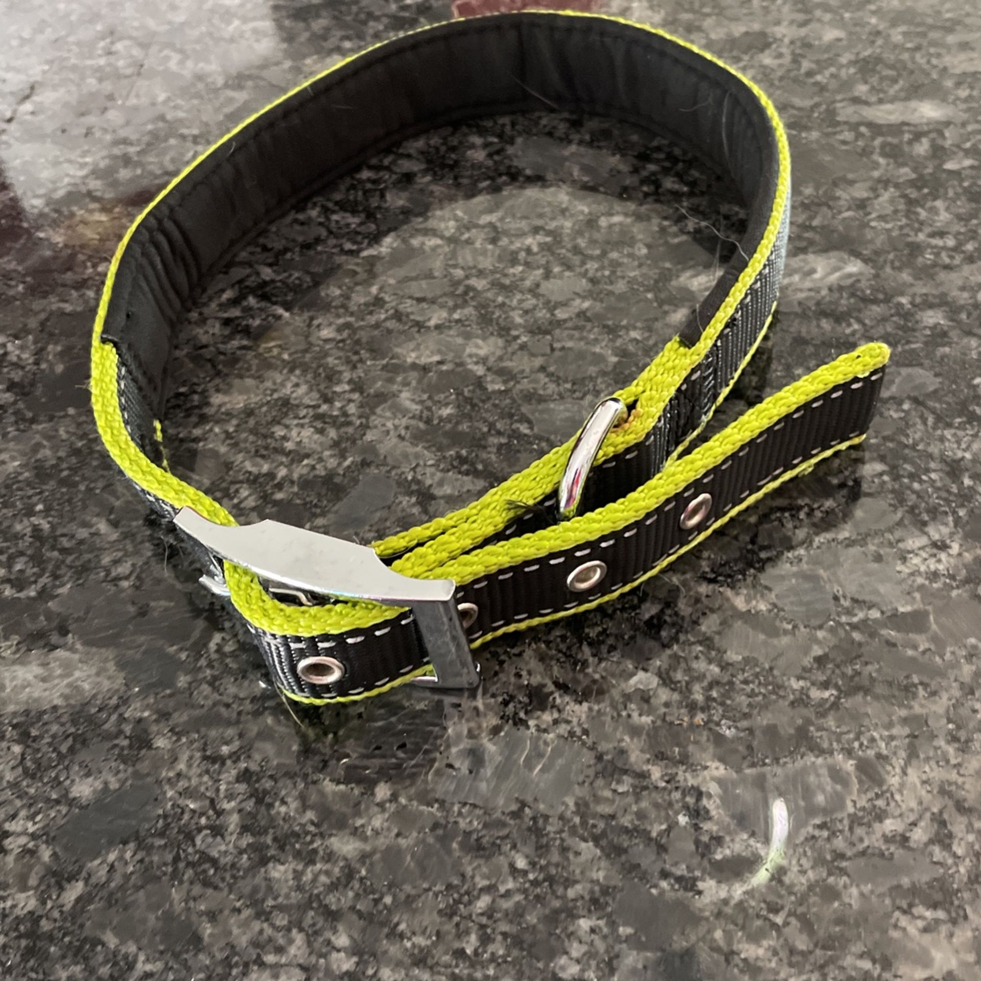 Large Dog Collar