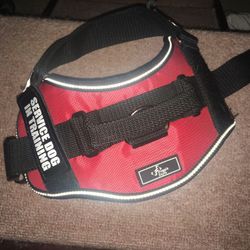 Dservice Dog In Training Harness 