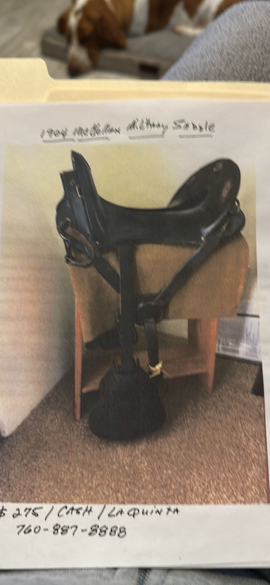 1904 Mc Clellan Saddle Asking $225 Please Call (contact info removed) La Quinta