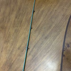 St Croix Casting Rod