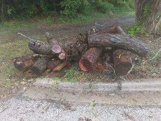 Sale Full Truck load of pecab bbq wood $150