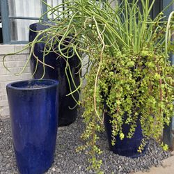 $700 Huge Ceramic Glazed. Can Deliver