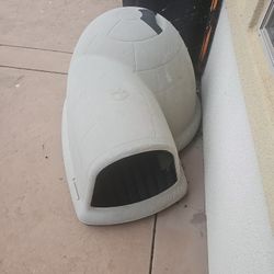 Dog House 