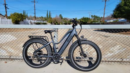 Dirwin Pioneer Step Through Fat Tire Electric Bik