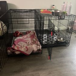 Dog Crates 