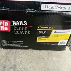 1/2 case of 60D 6” common nails - pet turf