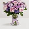 Violet V