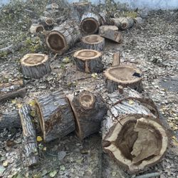 Free Wood