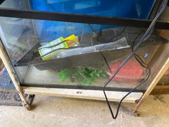10 gallon fish tank