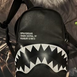 Spray Ground Backpack 