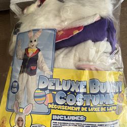 Easter bunny costume