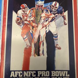 AFC - NFC Pro-Bowl Magazine 
