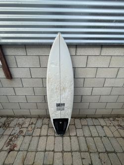 Panda Surfboard