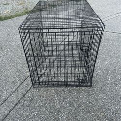 Dog Kennel