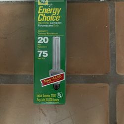 GE Electronic Compact Fluorescent Bulb 