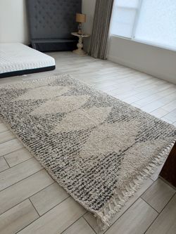 Cream and Gray Shag Area Rug with Fringe