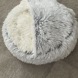 Cat Bed