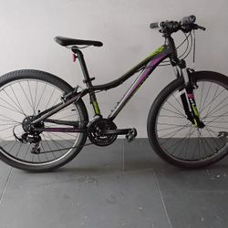 BICYCLE LIV GIANT 21 SPEED SIZE 26 BRAND NEW 