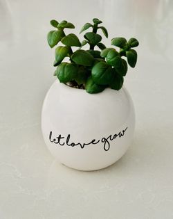 Let Love Grow Artificial Fake Plant, 6 inches