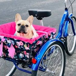 TRI CYCLE  NO BATTERY NOT ELECTRIC