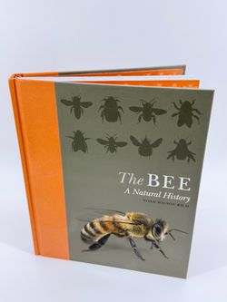 The Bee: A Natural History by Noah Wilson Rich - Hardcover